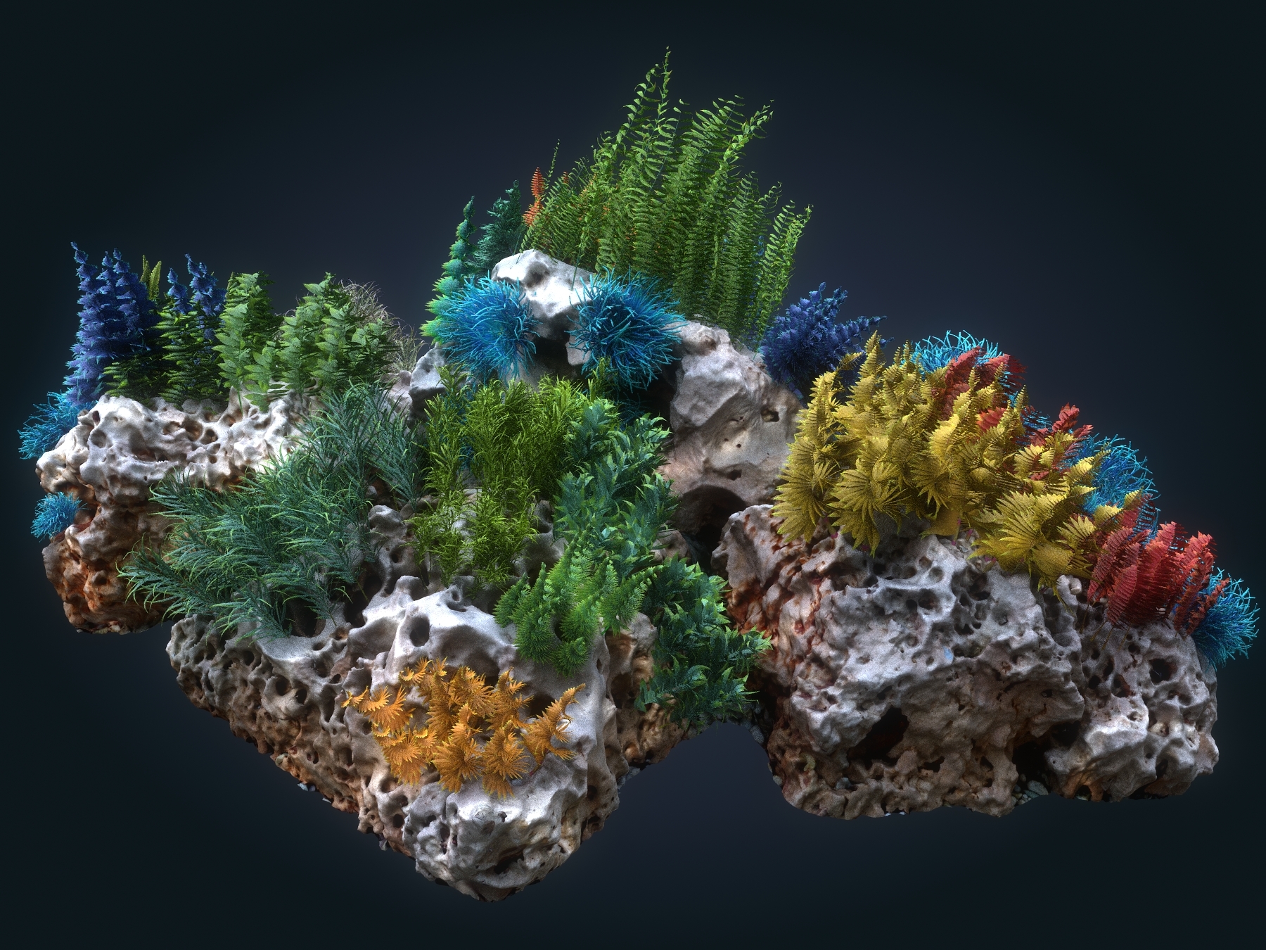 coral reef ecosystem plants 3d