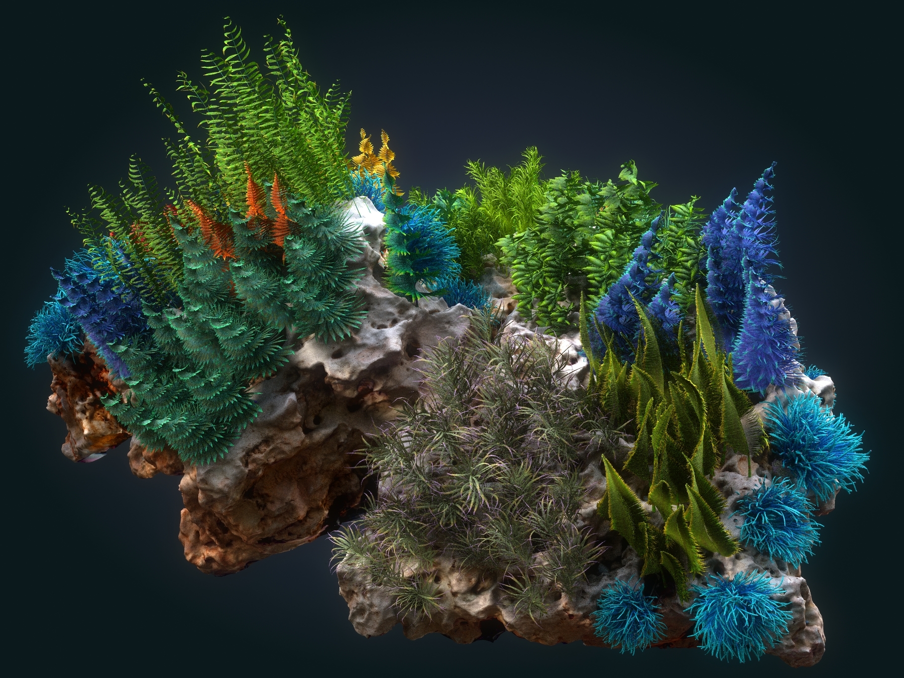 coral reef ecosystem plants 3d