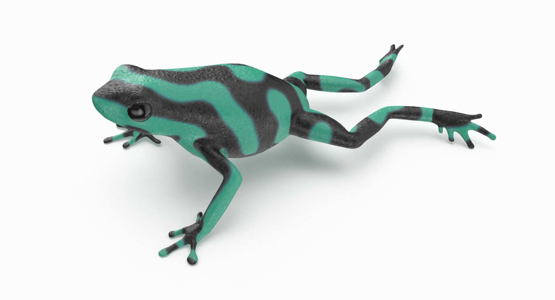 green poison dart frog 3d model