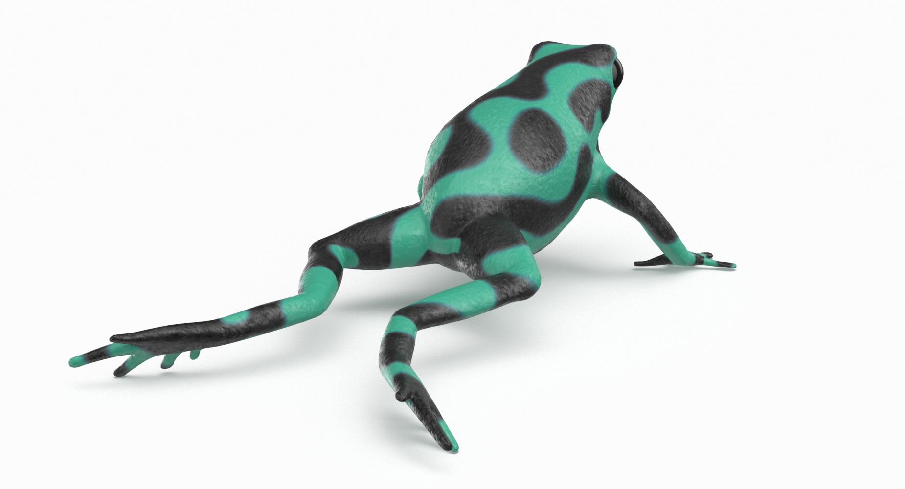 green poison dart frog 3d model