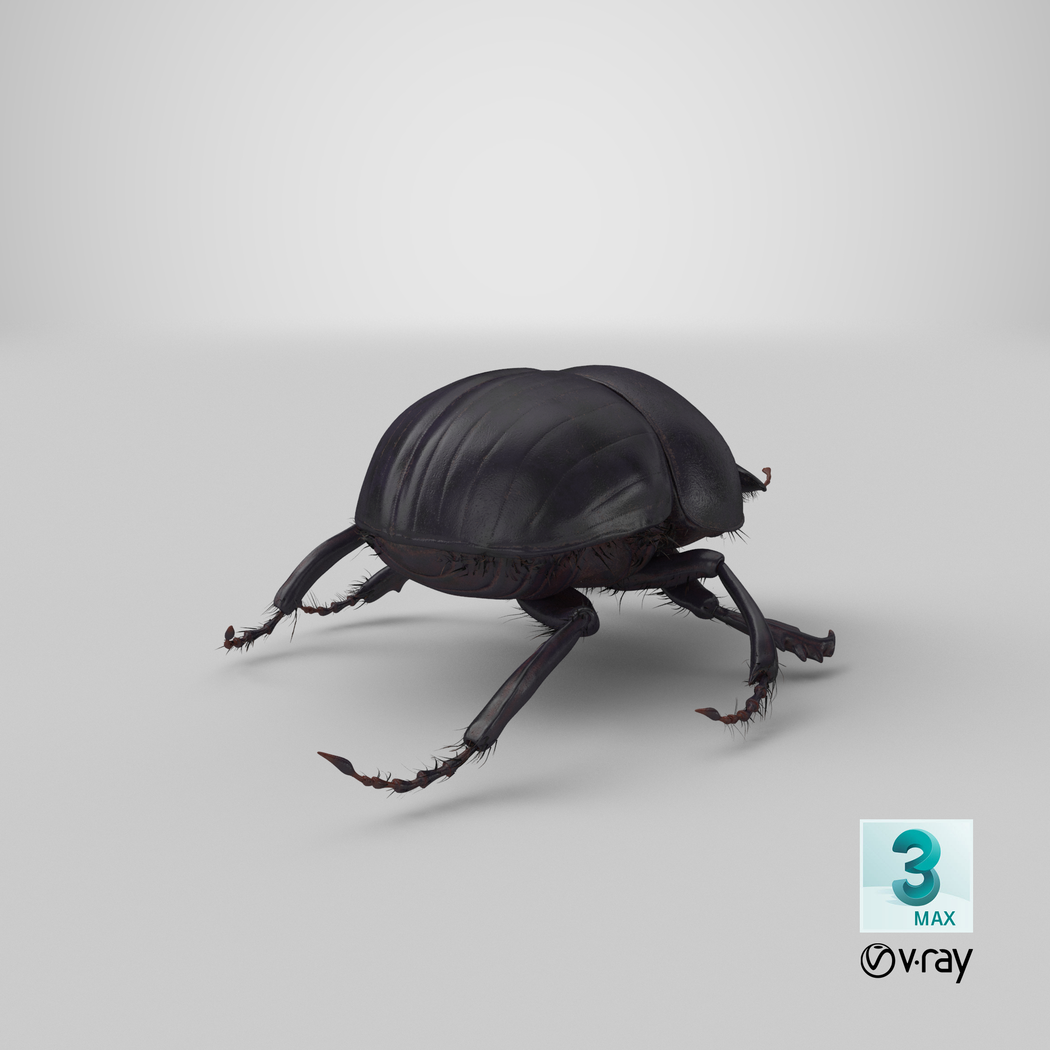 3d model black scarab beetle walking