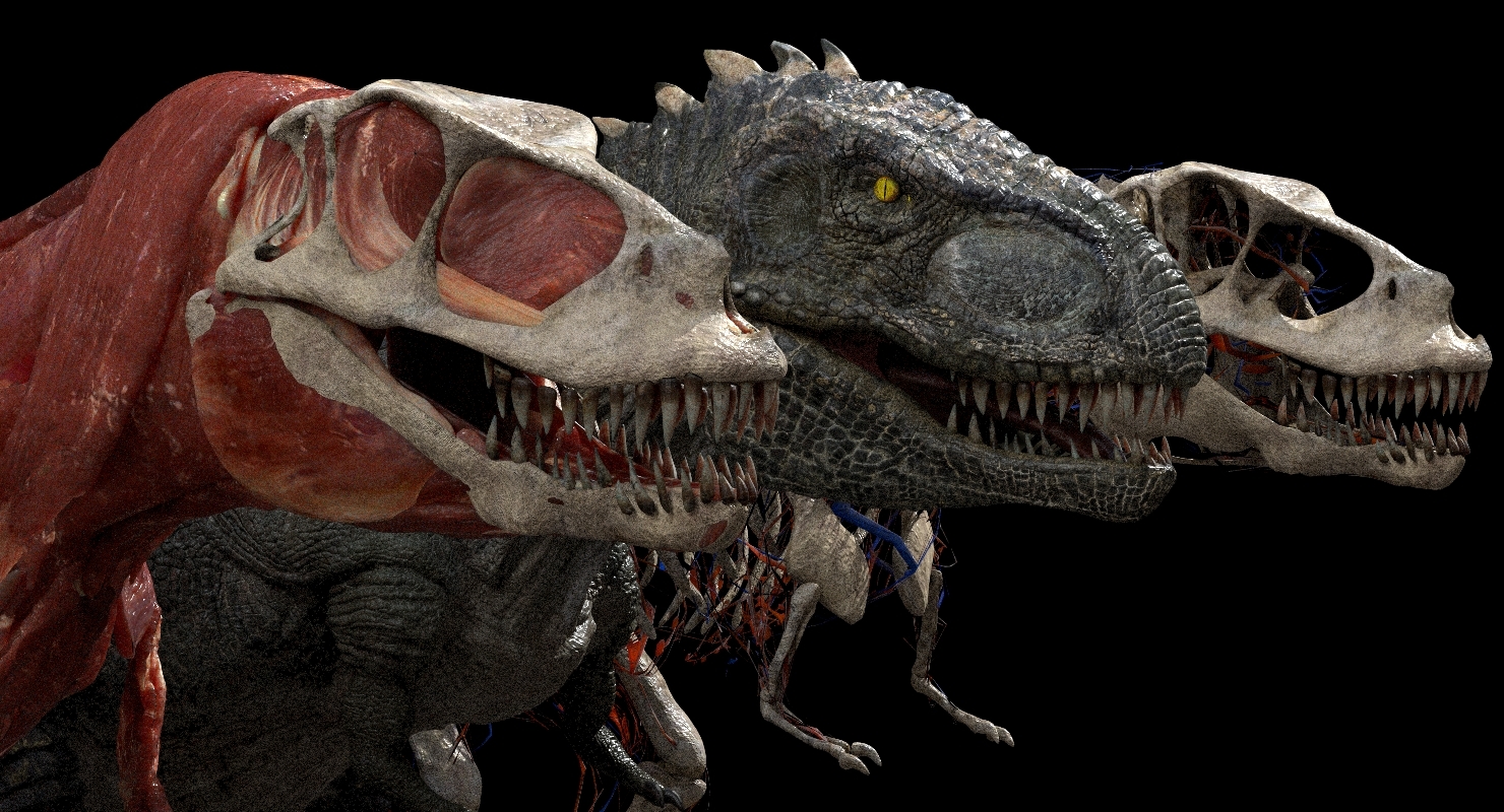 giganotosaurus tyranosaurus anatomy 3d 3d model