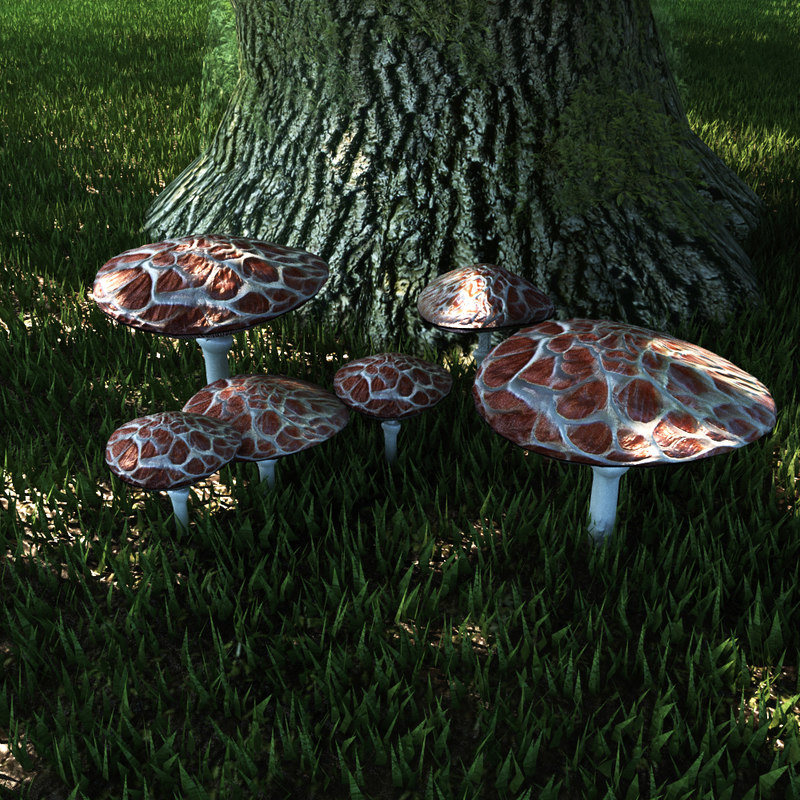 Fungus Set Mushrooms 3D Model TurboSquid 1391104