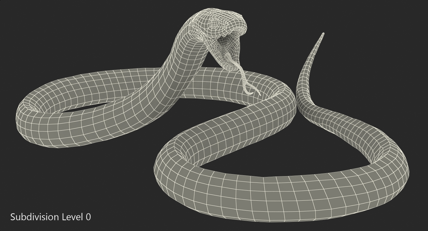 沙漠黑王蛇为电影4d索具3d模型