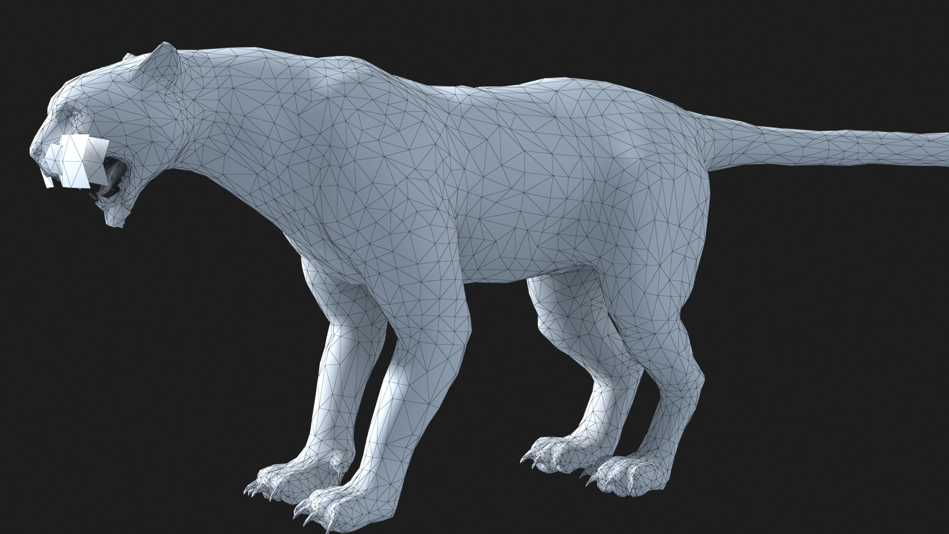 头发影响豹豹3d模型