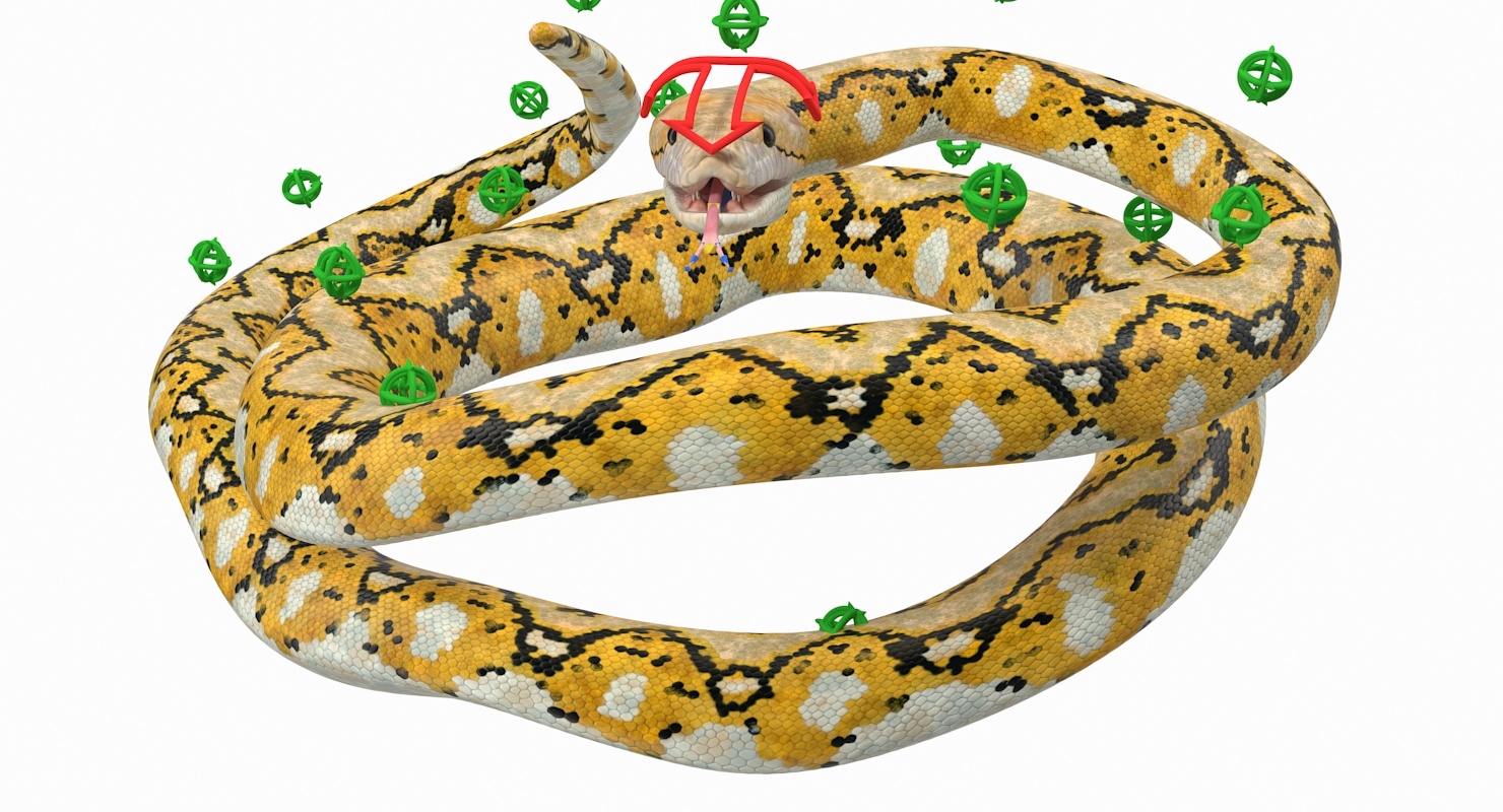 yellow python snake rigged 3d