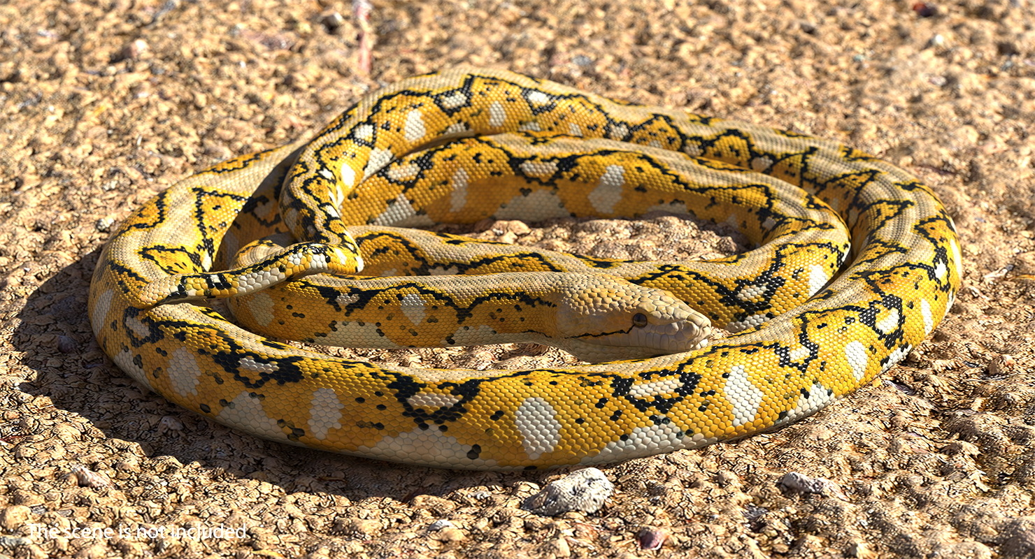 yellow python snake rigged 3d