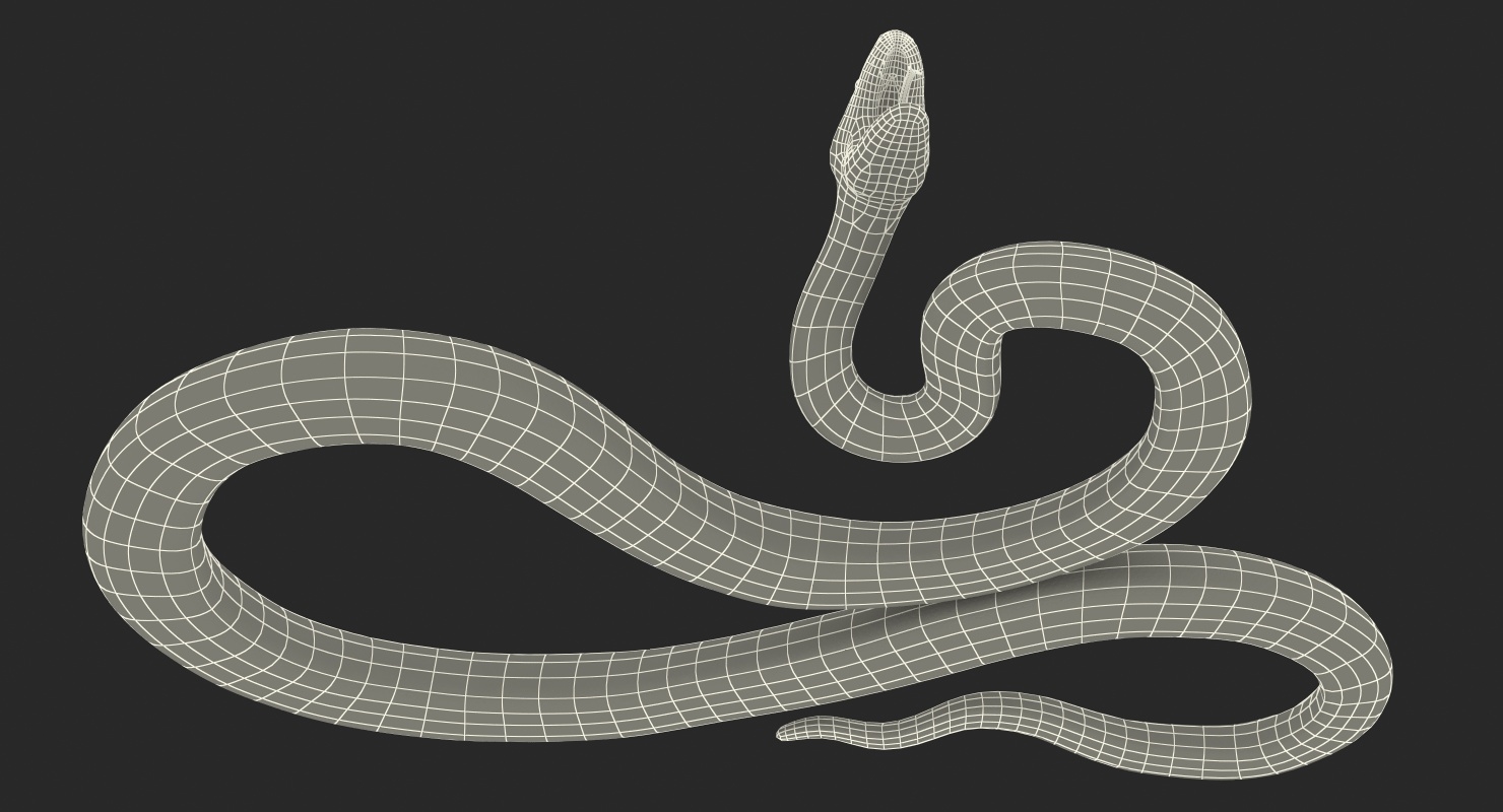 yellow python snake rigged 3d