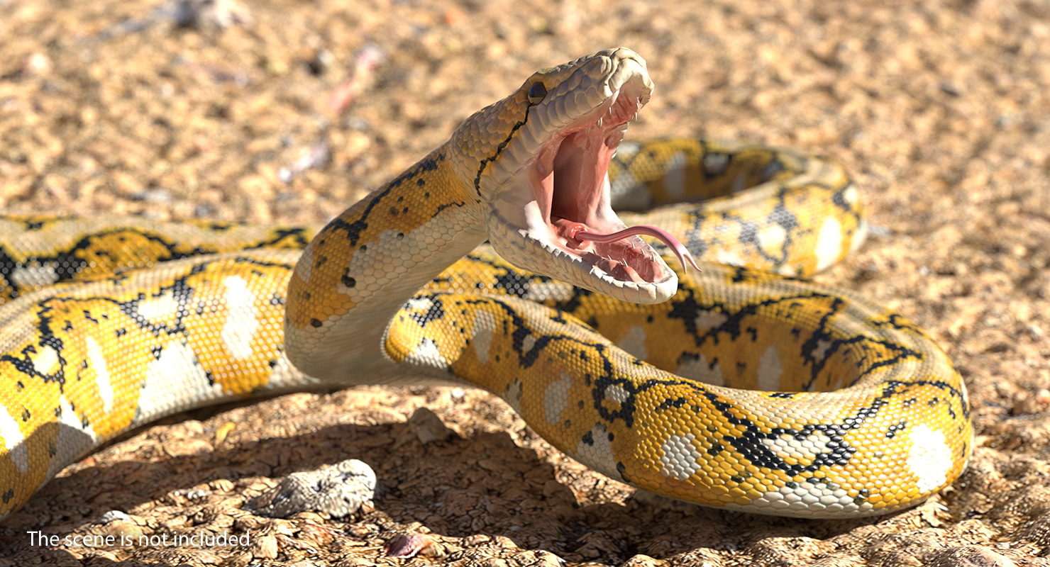 3d yellow python snake rigged model