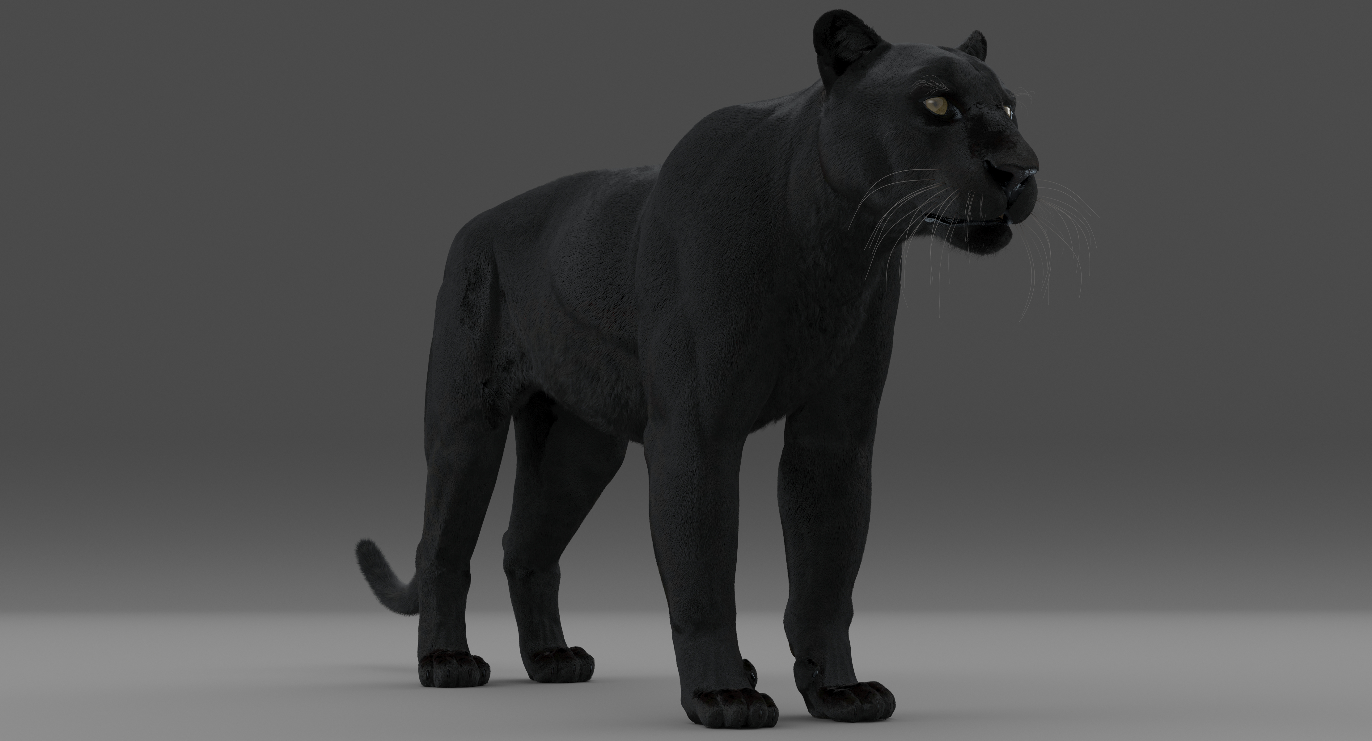 3d black panther leopard fur