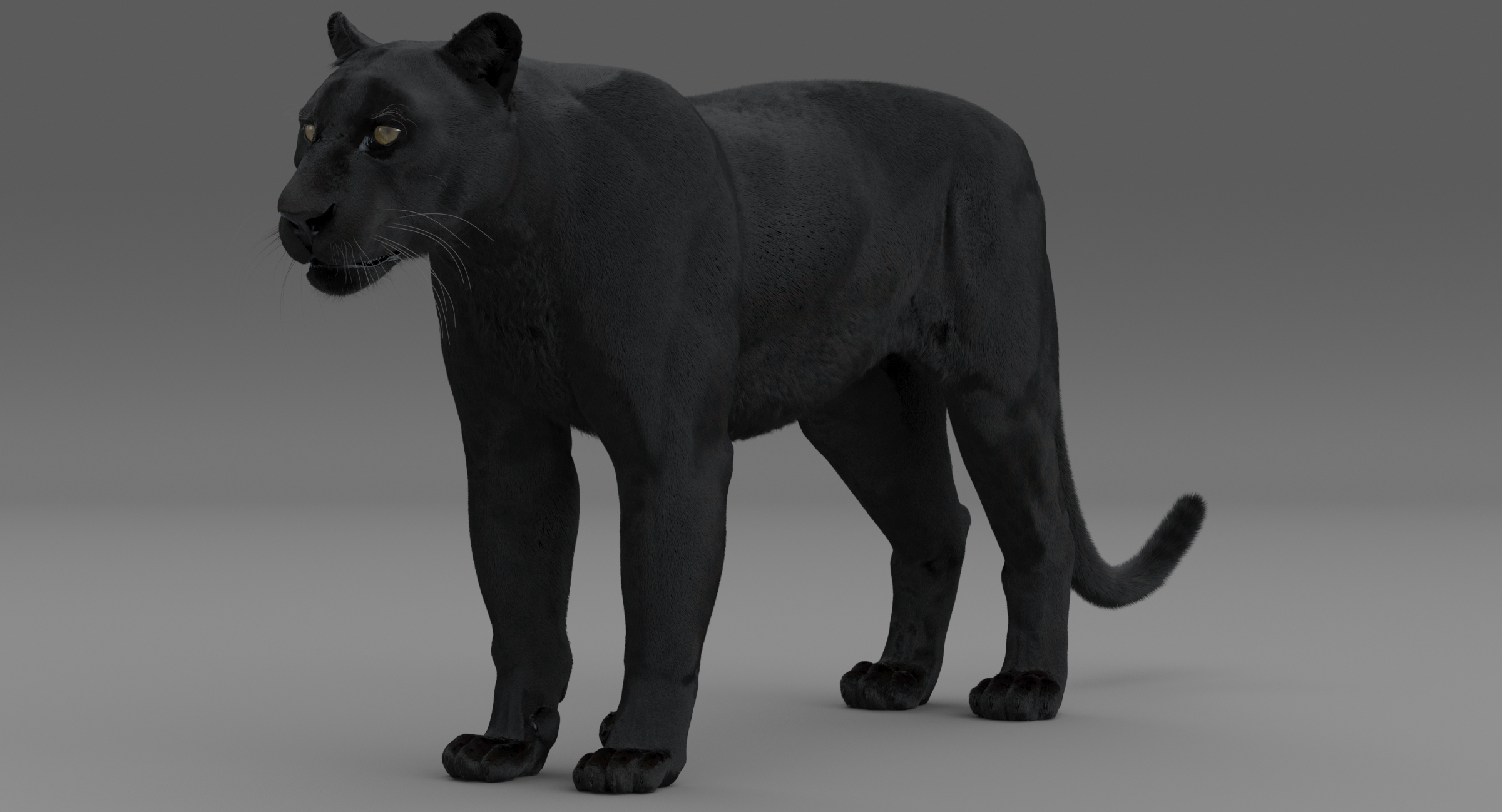 3d black panther leopard fur