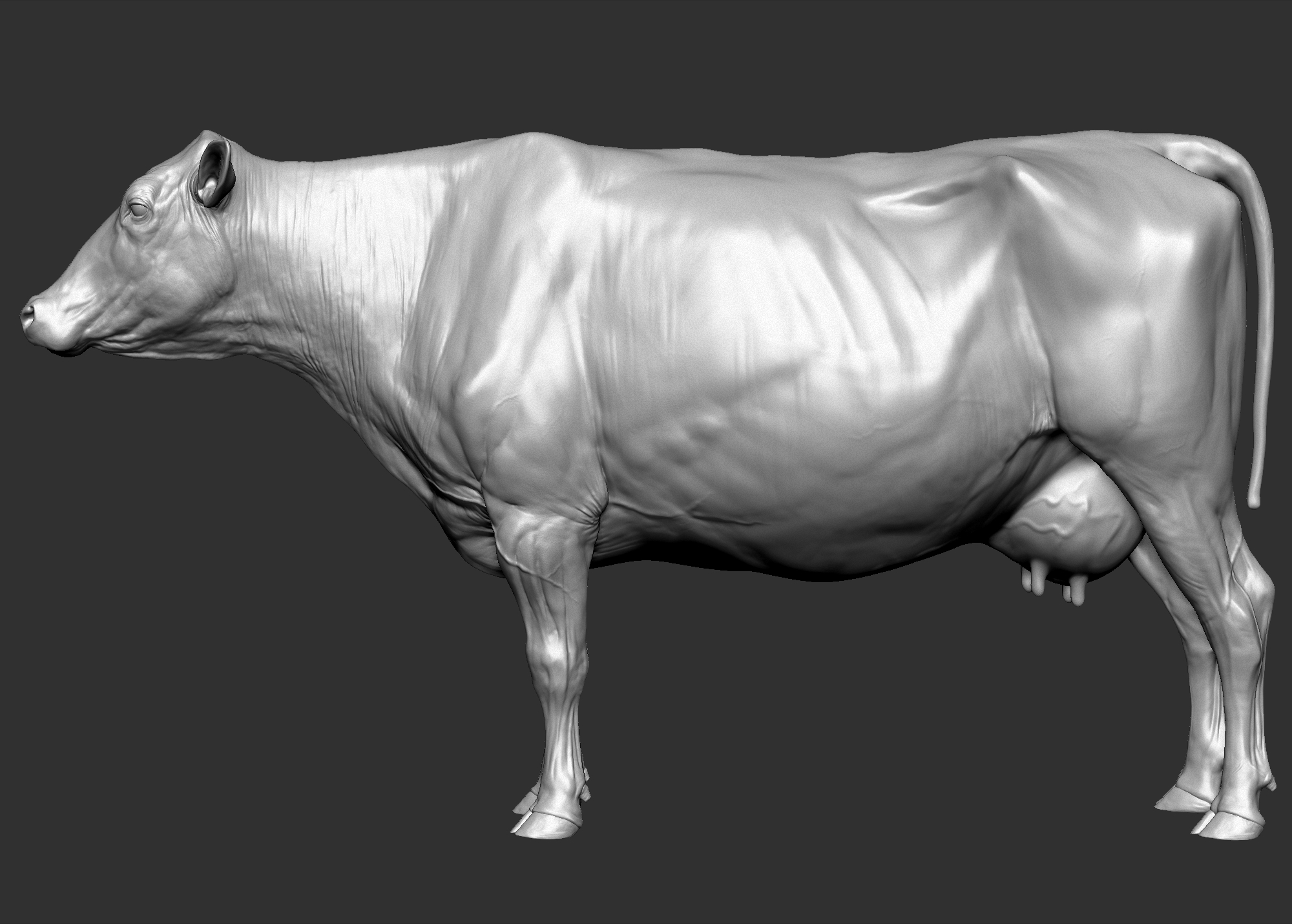 牛3d模型