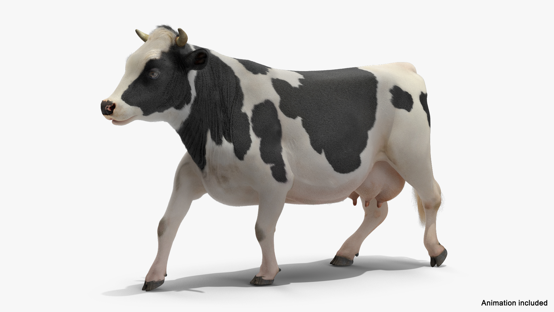 动画牛集合3d模型