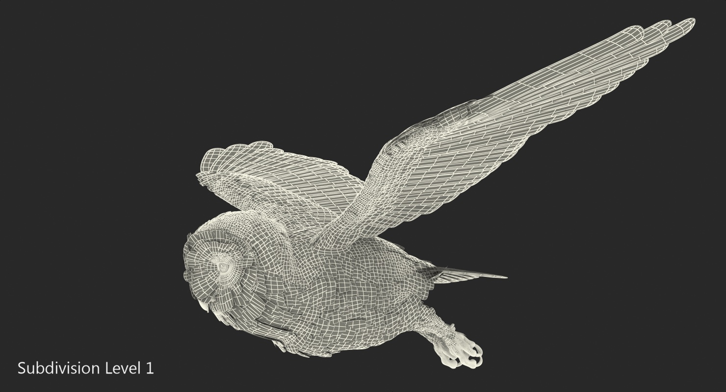 barn owl rigged 3d