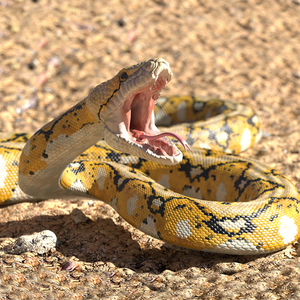 3d yellow python snake rigged model