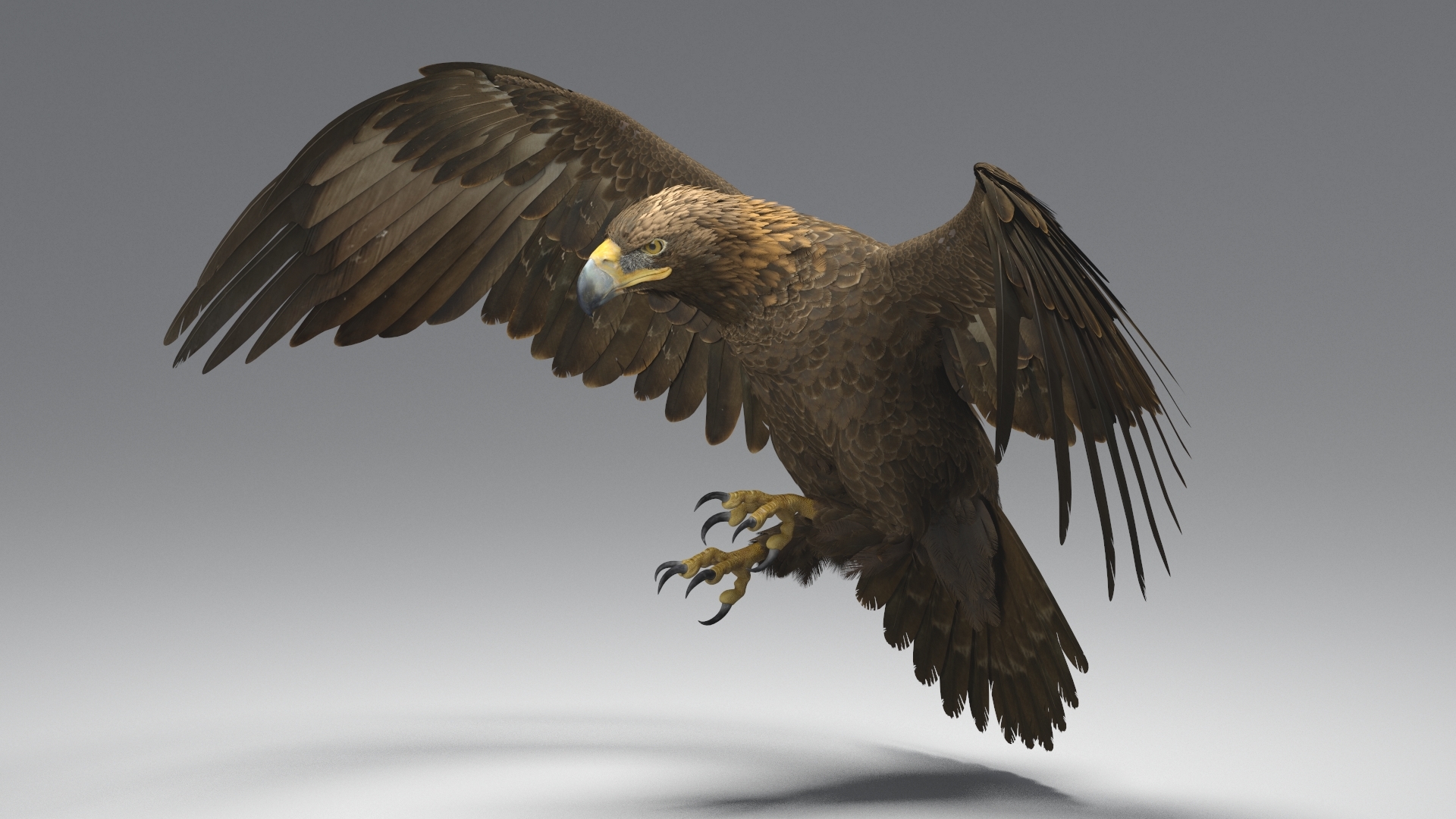 3d golden eagle rigged animate