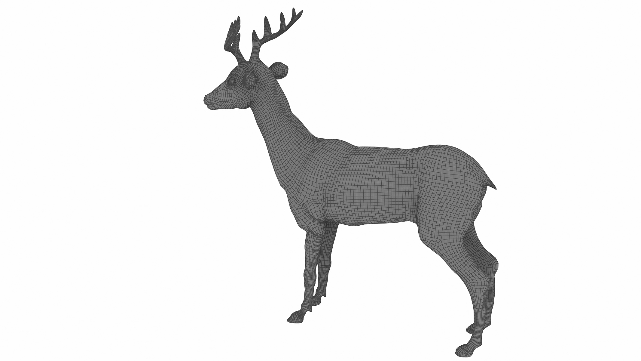 3d deer animal mammal