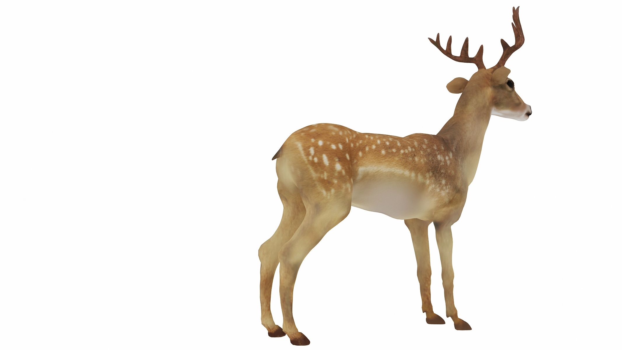 3d deer animal mammal