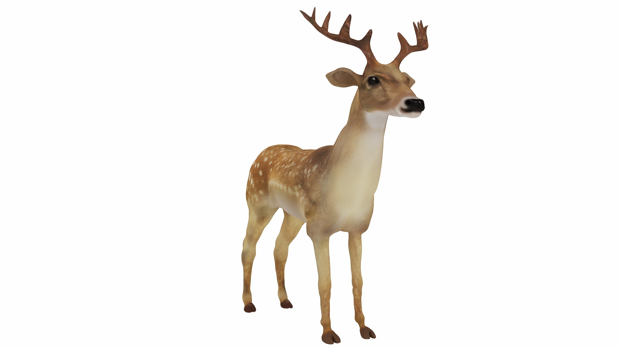 3d deer animal mammal