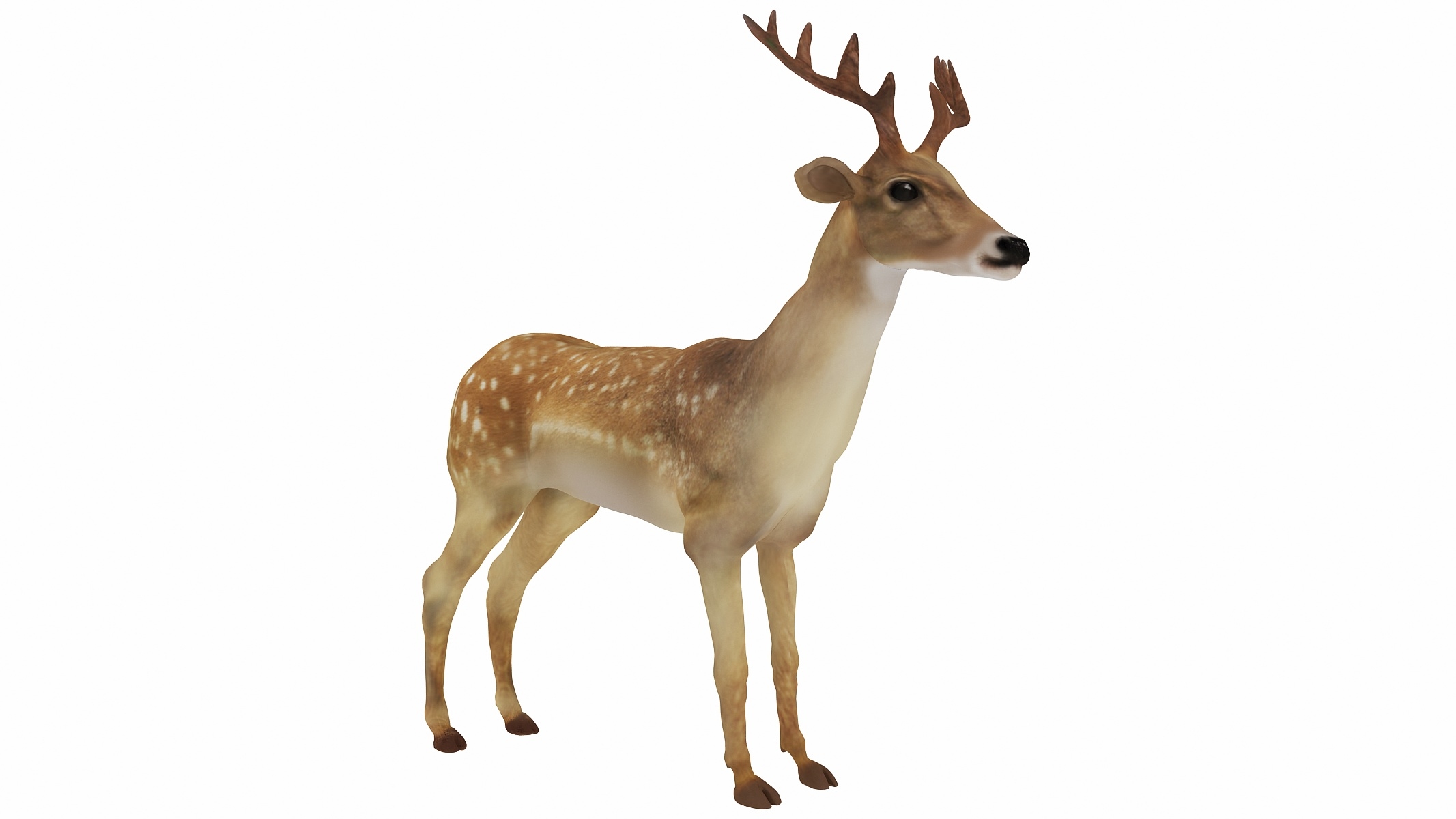 3d deer animal mammal