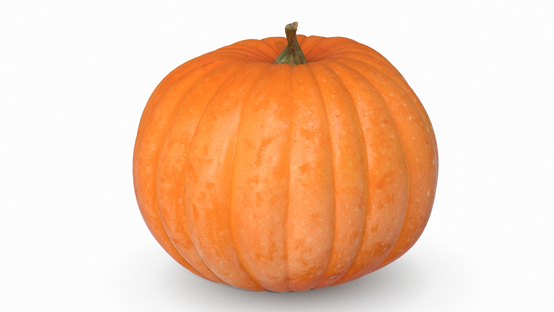 pumpkin 5 scan 3d model