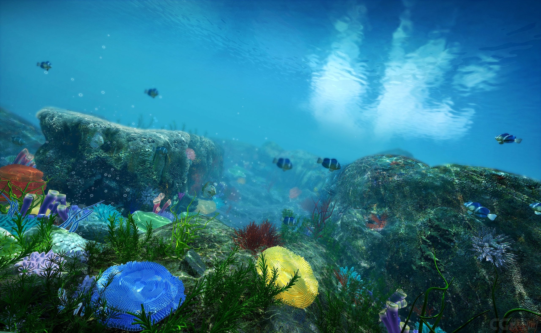 underwater world water 3d