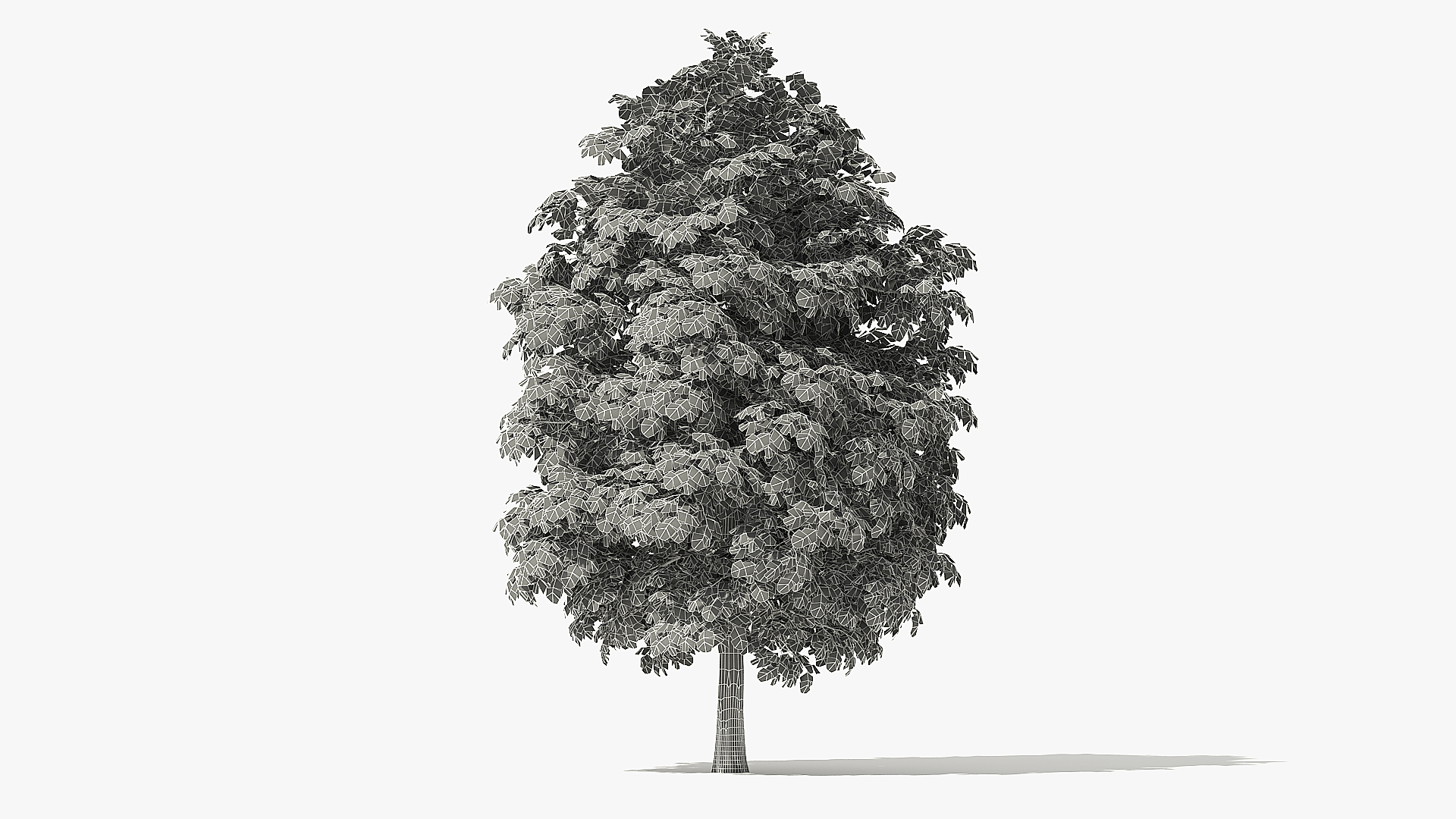 3d rock elm tree