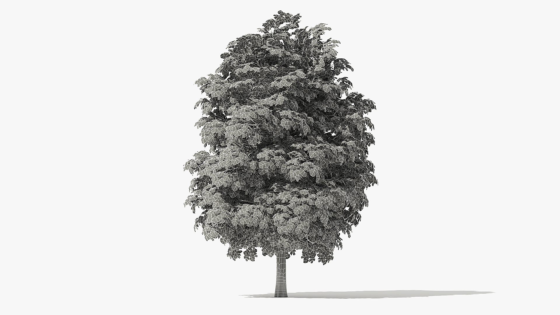 3d rock elm tree