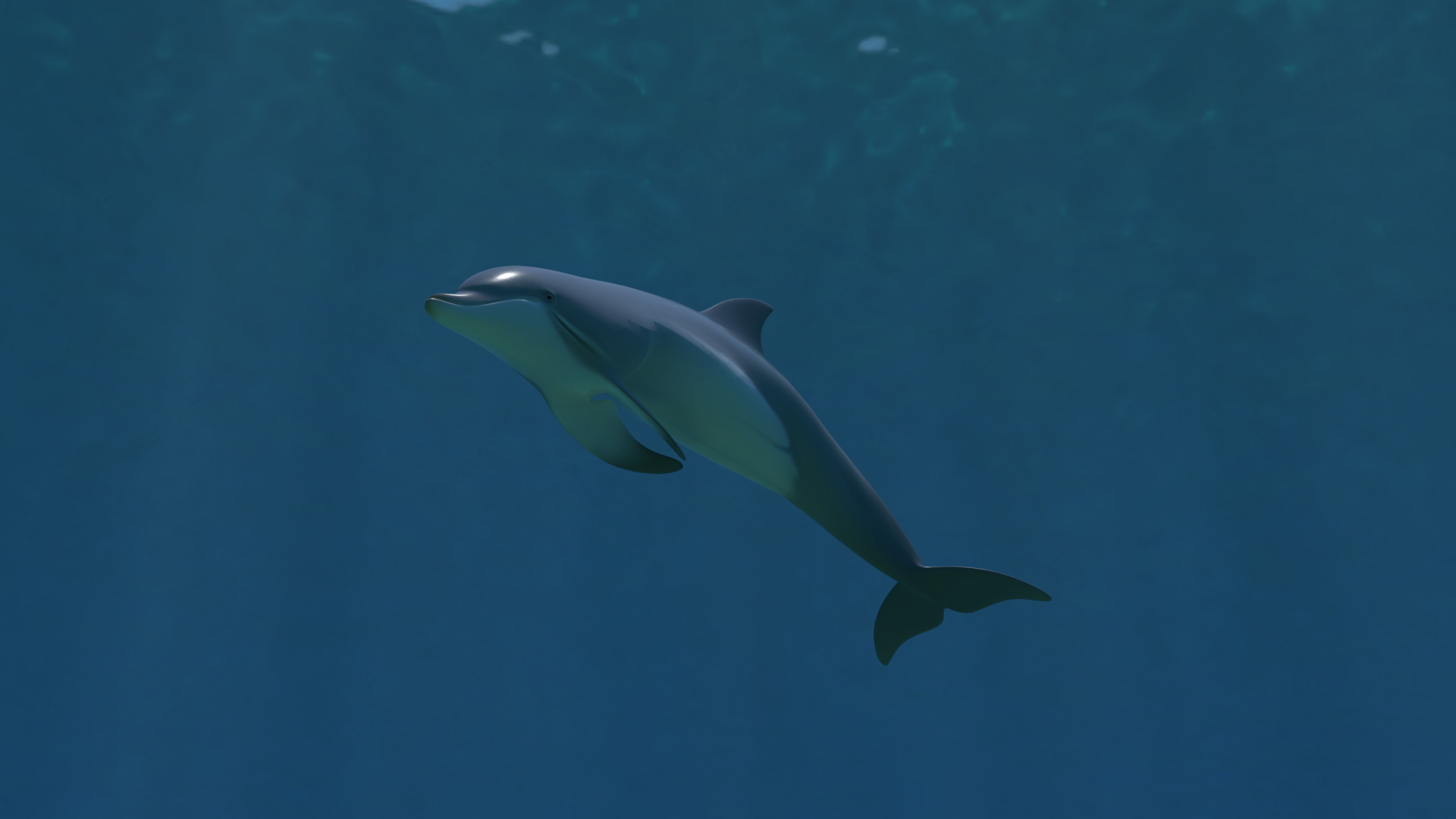 3d beautiful common bottlenose dolphin model