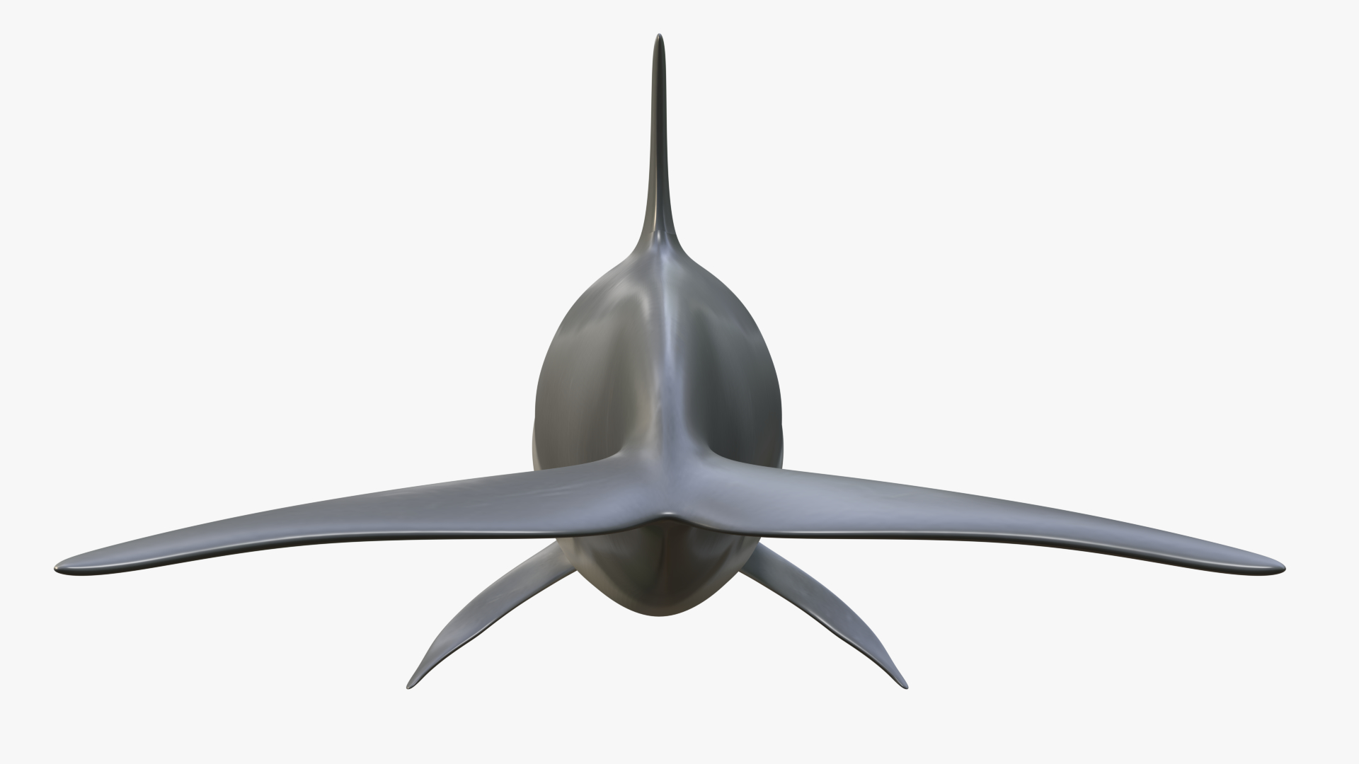 3d beautiful common bottlenose dolphin model