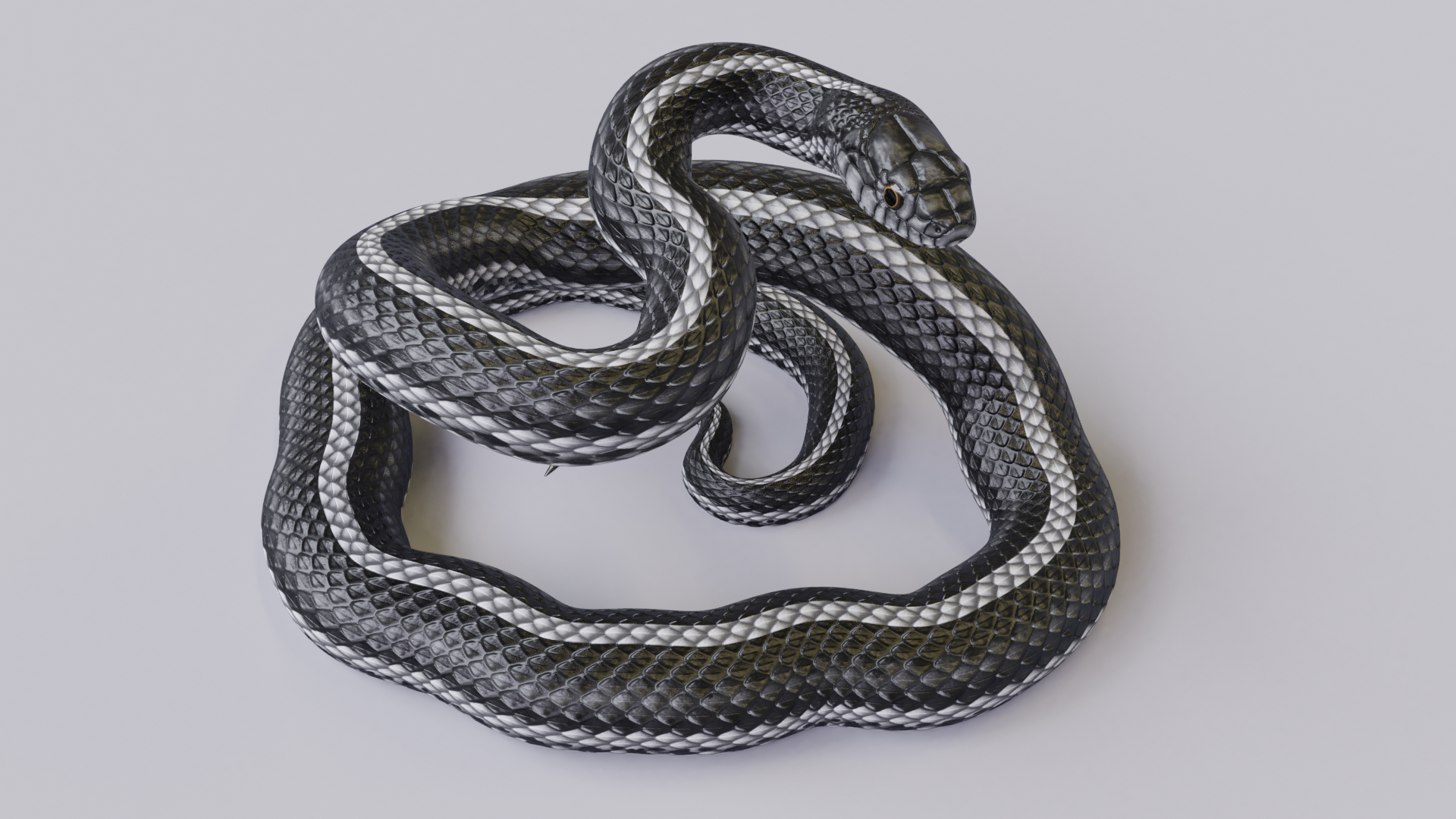 3d model black white snake