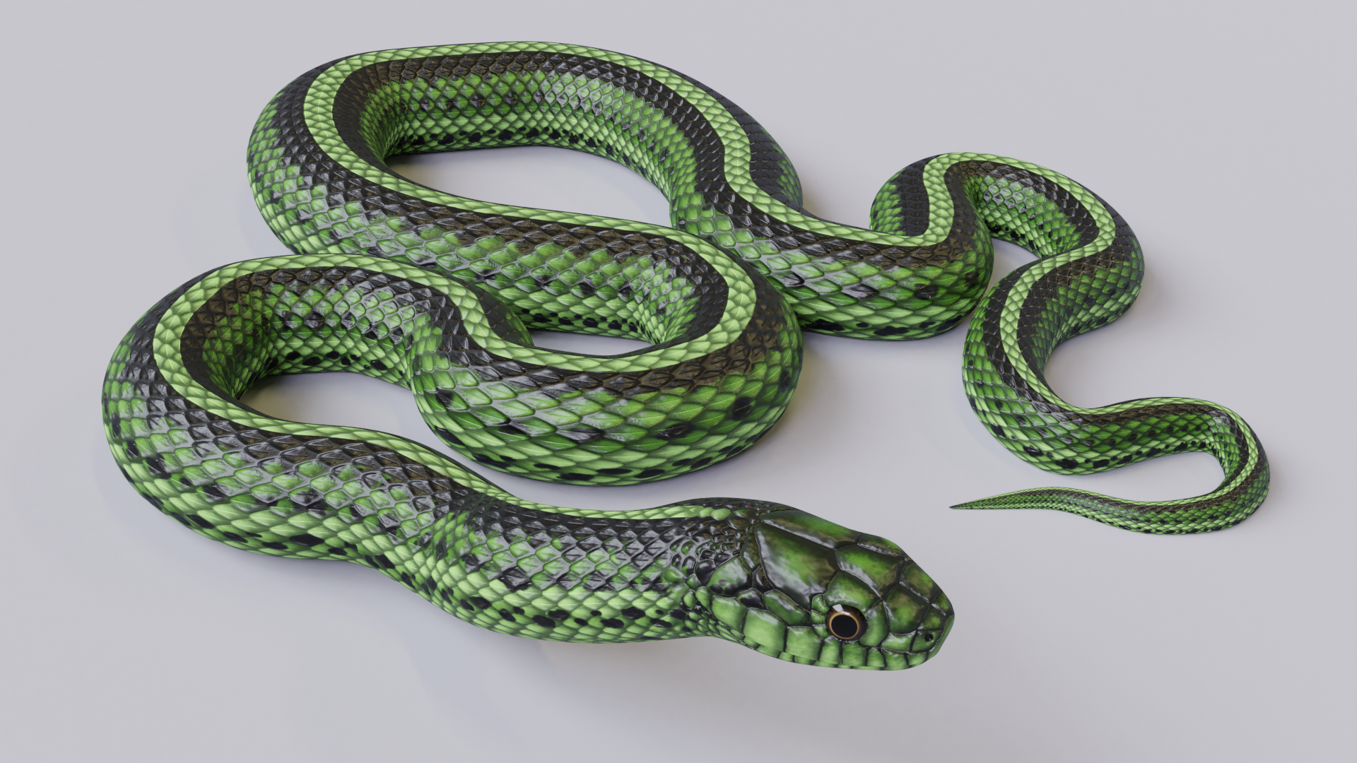 green snake model