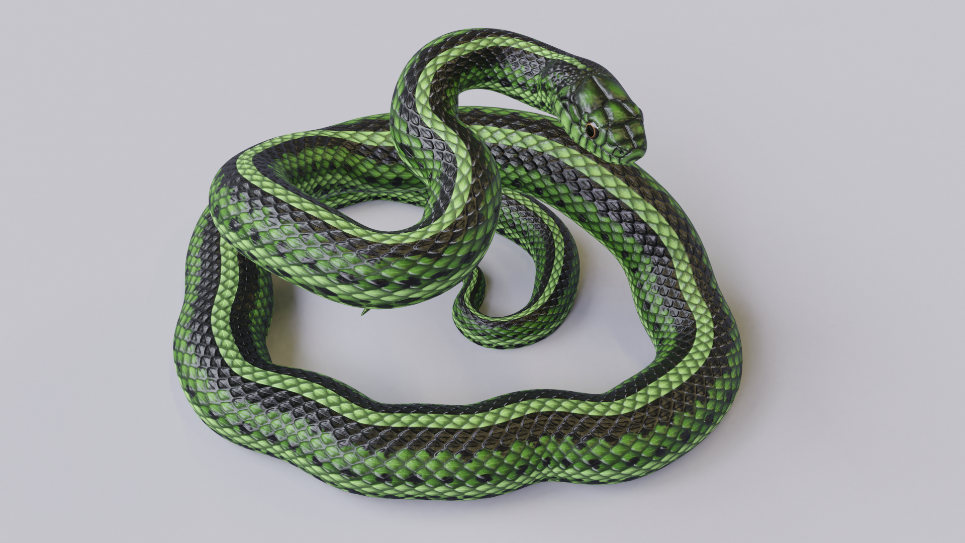 green snake model