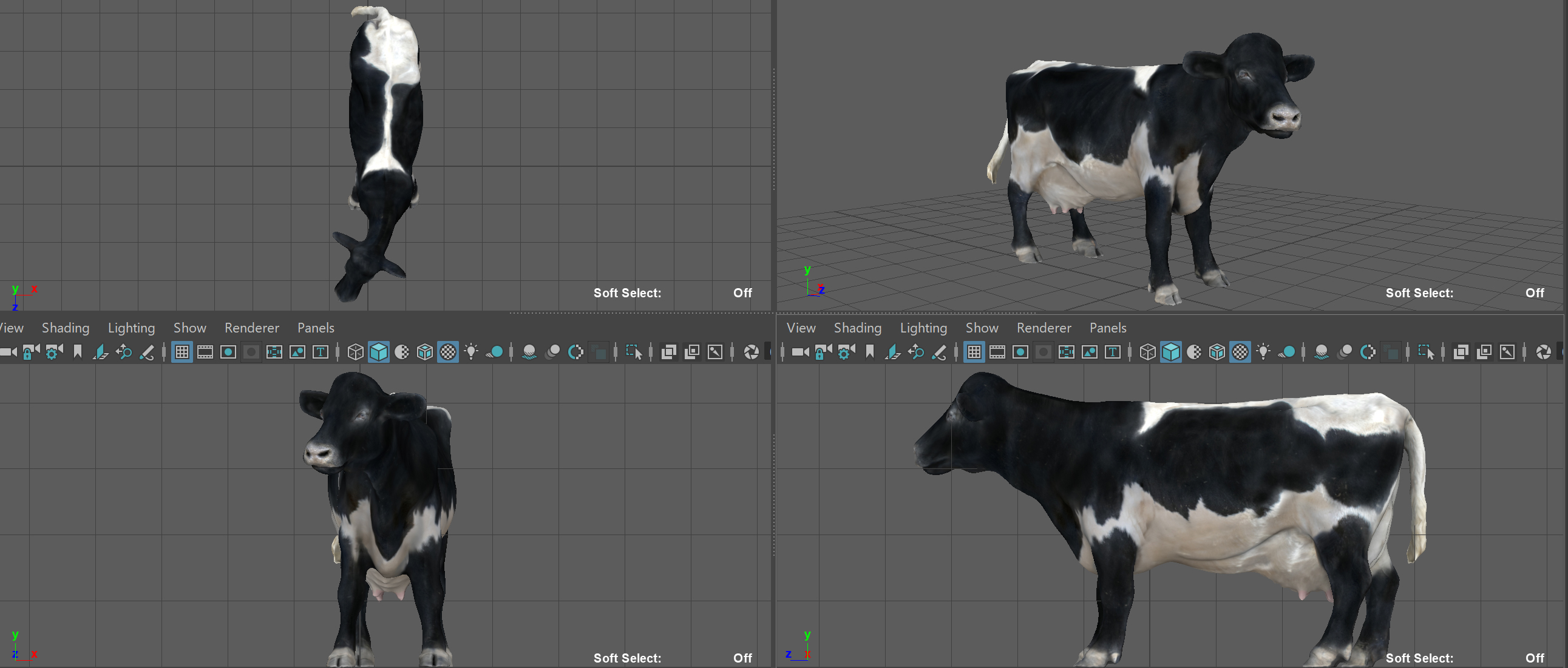现实牛3d模型