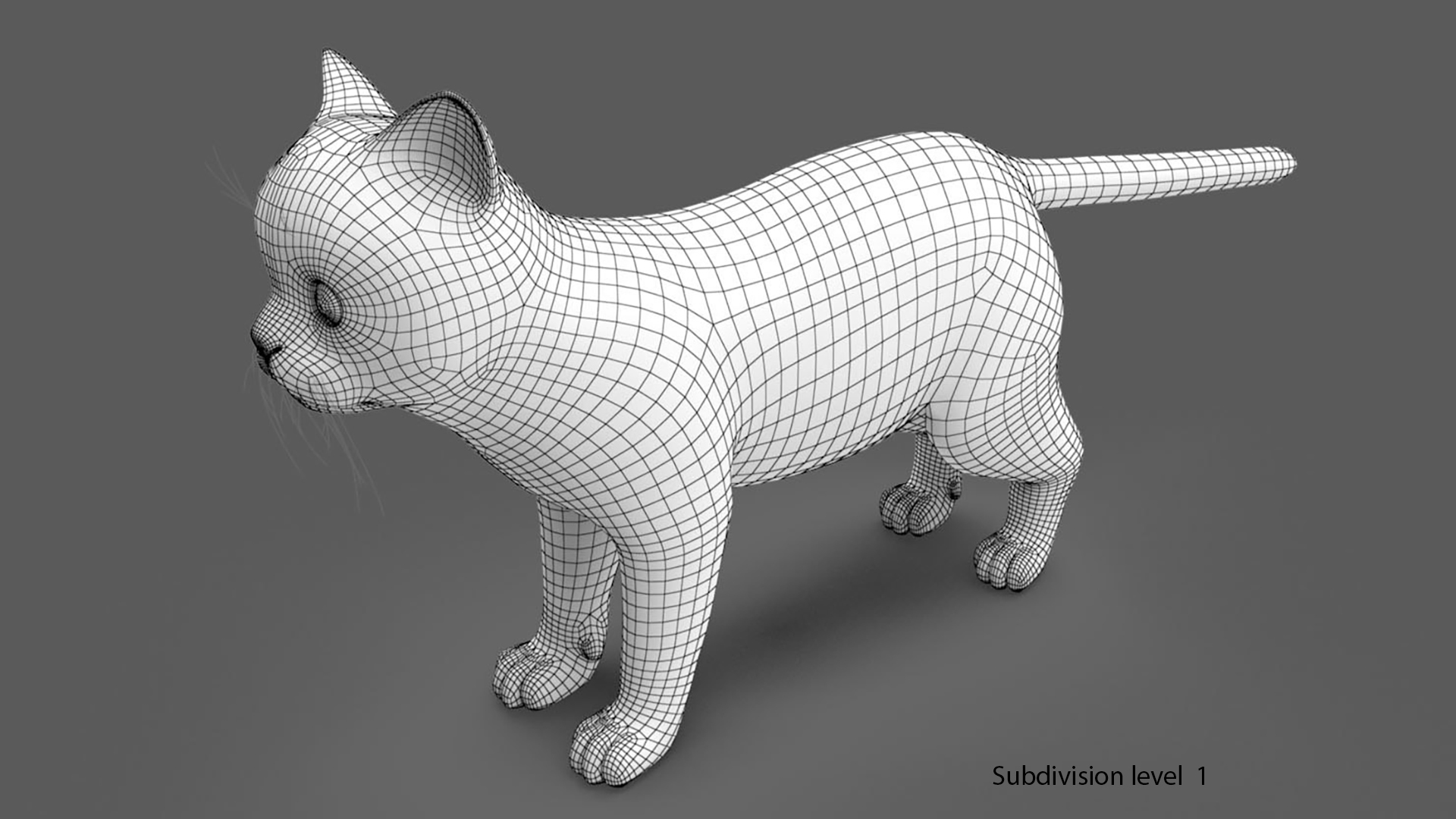 猫毛钻机3d模型