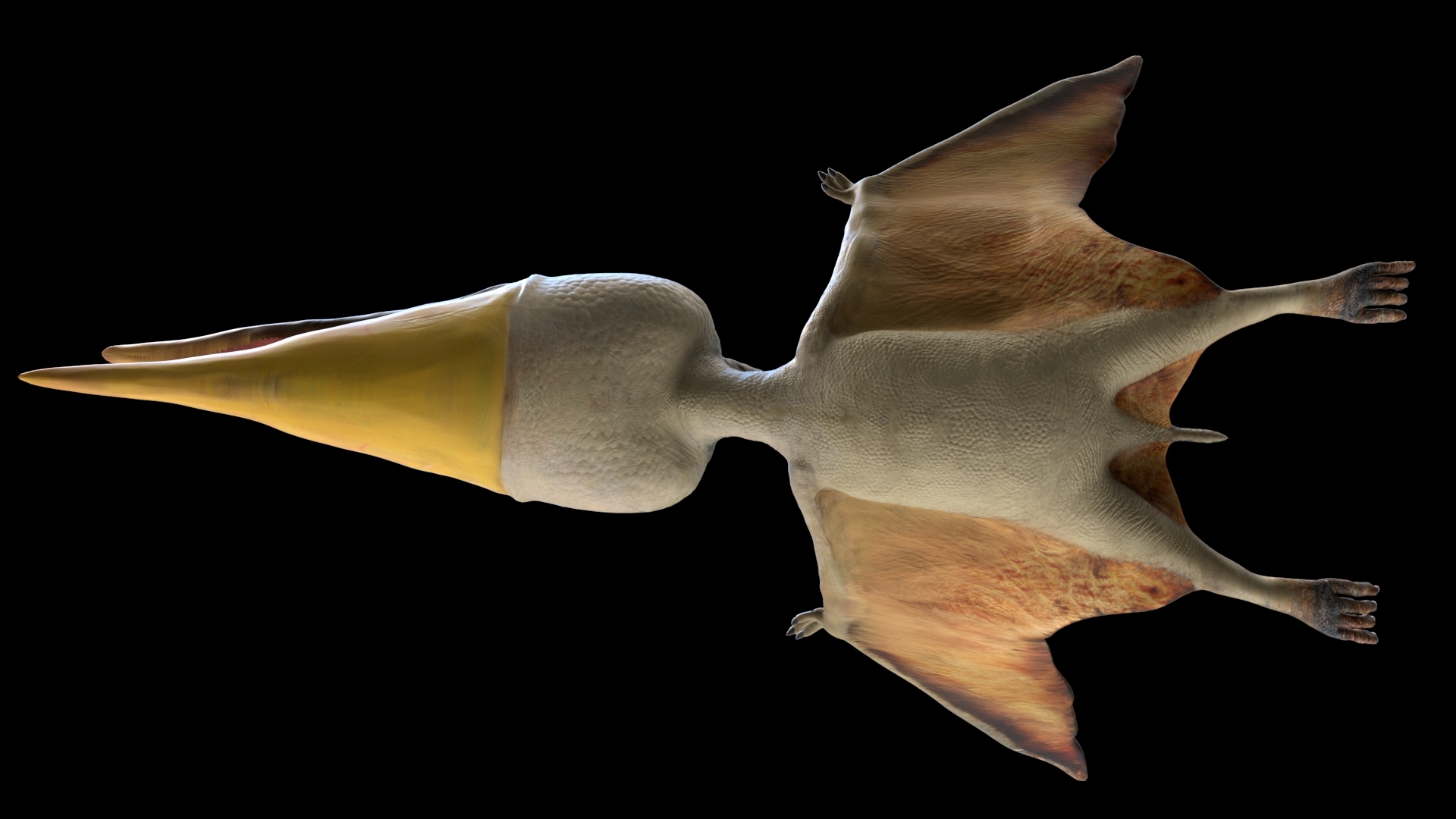 3d model pteranodon rigged dinosaurs