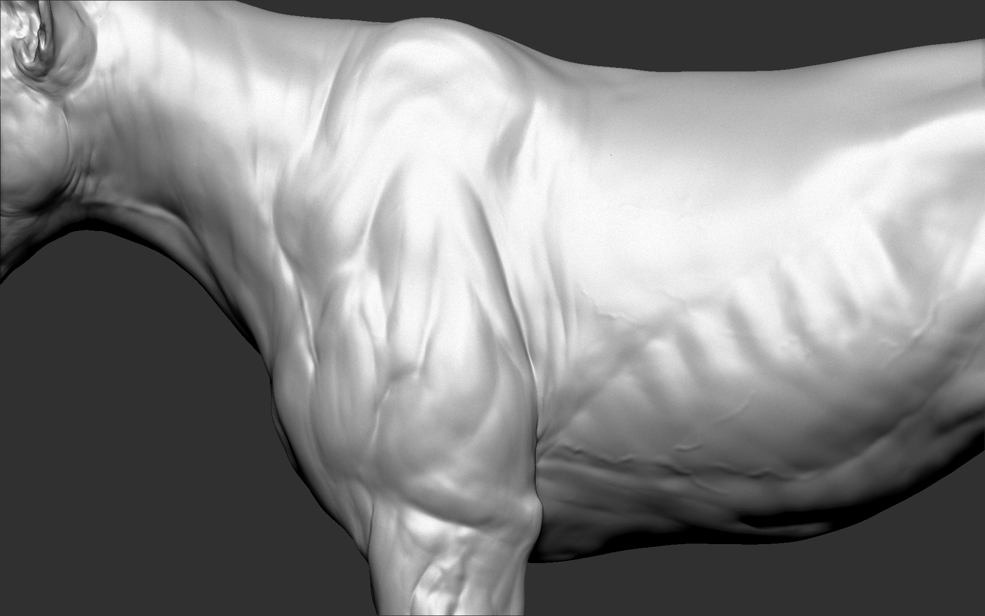 狮子(大猫)视觉特效ultra zbrush sculpt3d模型
