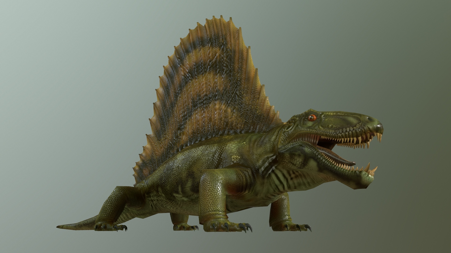 dimetrodon3d模型