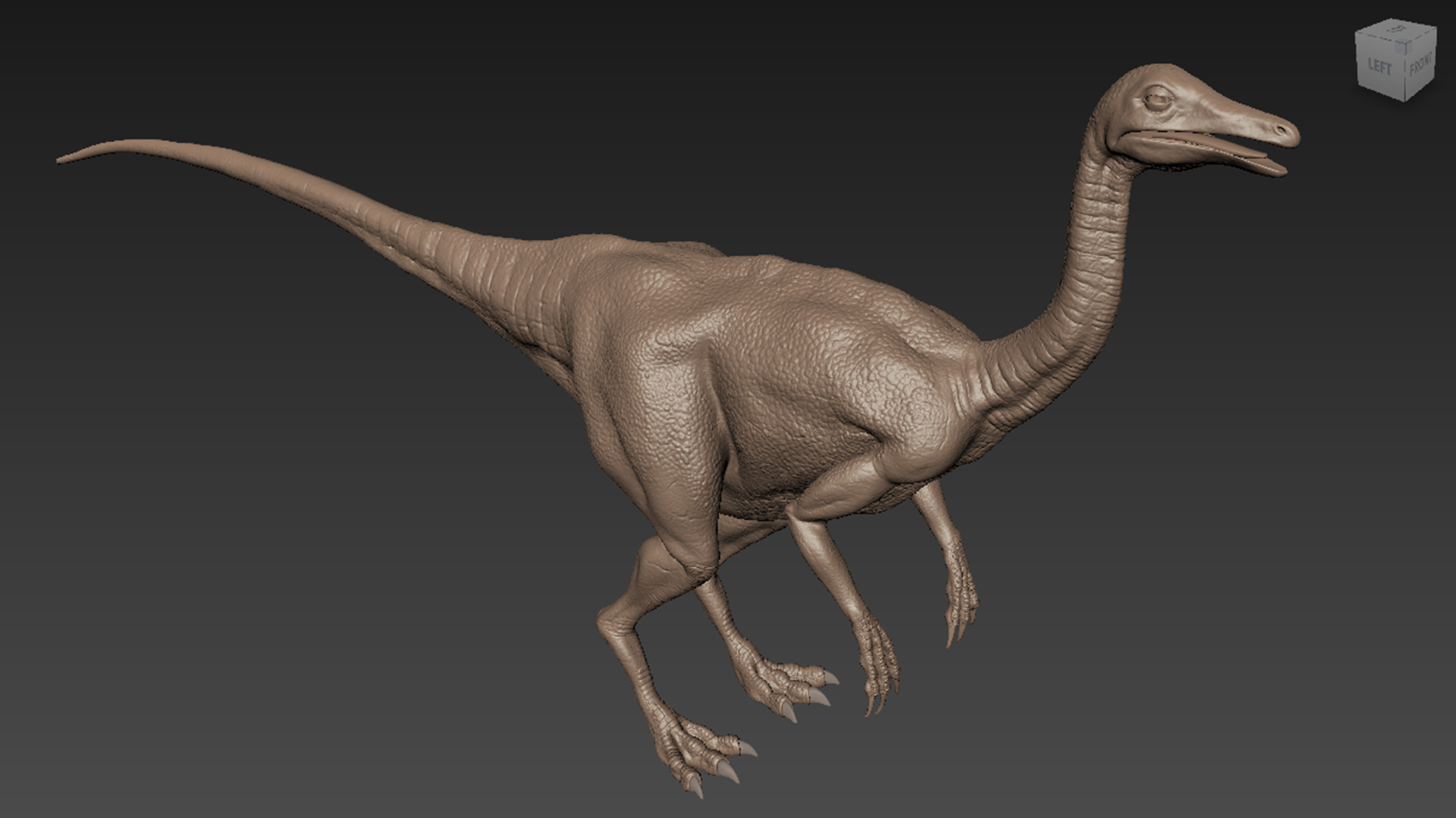 3D Struthiomimus Dinosaur TurboSquid 1561254