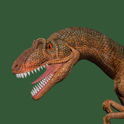 allosaurus raptor