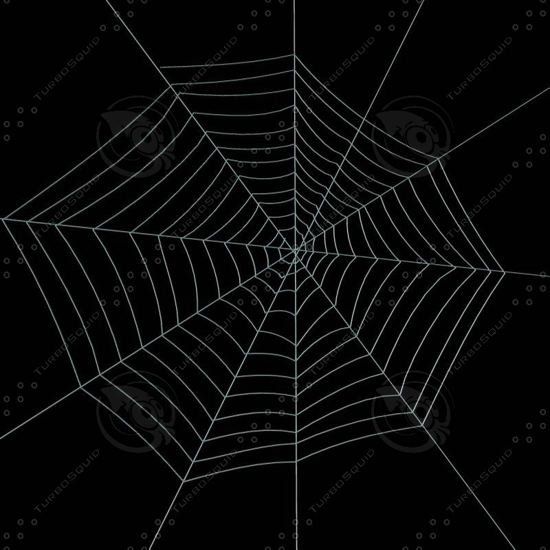 spider-web-3d-model