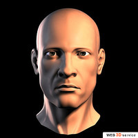 A Super Male Head 3d model