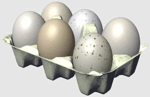 3d dozen eggs model