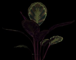 3ds max plant leaf