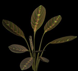 3d model plant leaf