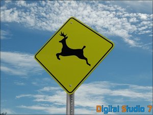 3d model deer sign