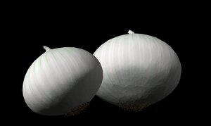 onion white 3d model