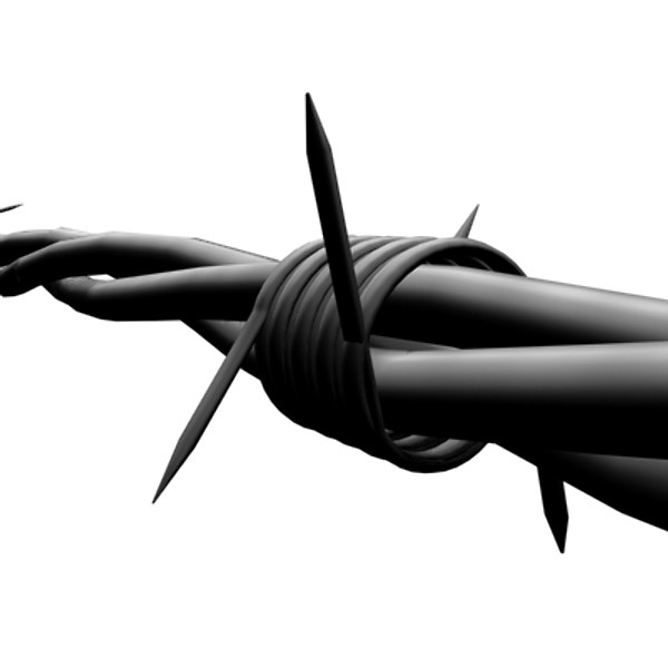 barbed wire 3d model