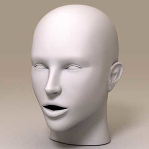 3d model caucasian female head