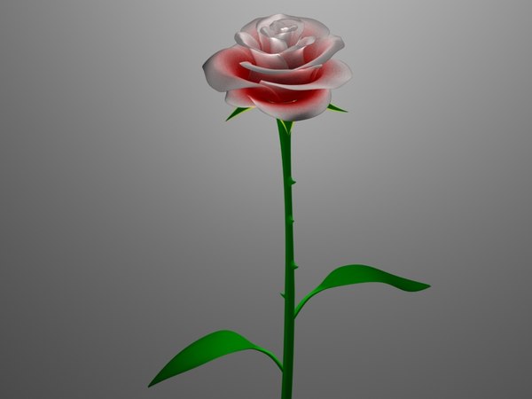 maya 3d flower model